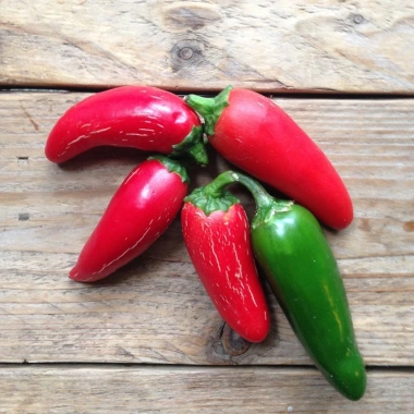 Hạt Giống Ớt Xanh Jalapeno Mexico nhập khẩu - Giá 14.400 VND, trồng dễ dàng