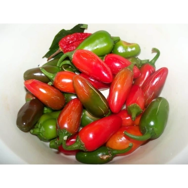 Hạt Giống Ớt Xanh Jalapeno Mexico nhập khẩu - Giá 14.400 VND, trồng dễ dàng