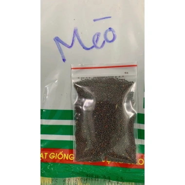 Hạt giống rau cải mèo - Trồng rau sạch tại nhà, ban công, thùng xốp, chỉ 6.000₫ 9