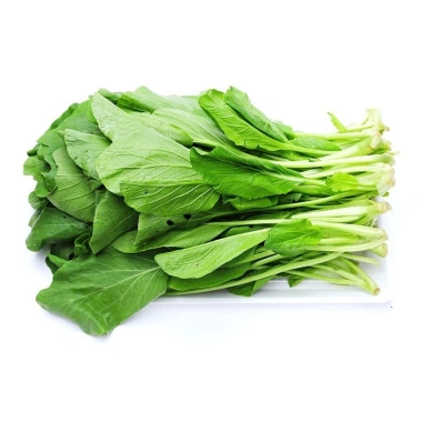 Hạt giống rau cải ngọt nhập khẩu - Giá 16.000đ, chất lượng cao, sinh trưởng nhanh 4
