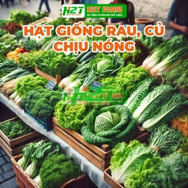 Hạt giống rau củ quả chịu nóng trồng theo mùa - Giá chỉ 6.000đ hatgiongnhapkhau