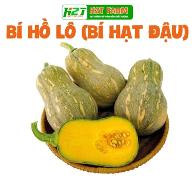 Hạt giống rau củ quả chịu nóng trồng theo mùa - Giá chỉ 6.000đ hatgiongnhapkhau 9 Hạt giống rau củ quả chịu nóng trồng theo mùa - Giá chỉ 6.000đ hatgiongnhapkhau 9