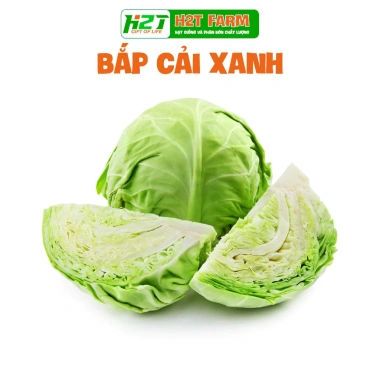 Hạt giống rau đa dạng: xà lách, cải kale, cải ngọt, cải xoăn, xà lách tím - Giá ưu đãi 9.114₫
