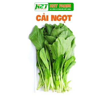 Hạt giống rau đa dạng: xà lách, cải kale, cải ngọt, cải xoăn, xà lách tím - Giá ưu đãi 9.114₫