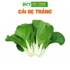 Hạt giống rau đa dạng: xà lách, cải kale, cải ngọt, cải xoăn, xà lách tím - Giá ưu đãi 9.114₫ 6