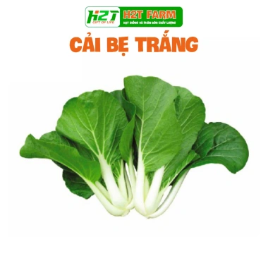Hạt giống rau đa dạng: xà lách, cải kale, cải ngọt, cải xoăn, xà lách tím - Giá ưu đãi 9.114₫