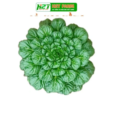 Hạt giống rau đa dạng: xà lách, cải kale, cải ngọt, cải xoăn, xà lách tím - Giá ưu đãi 9.114₫ 8 Hạt giống rau đa dạng: xà lách, cải kale, cải ngọt, cải xoăn, xà lách tím - Giá ưu đãi 9.114₫ 8