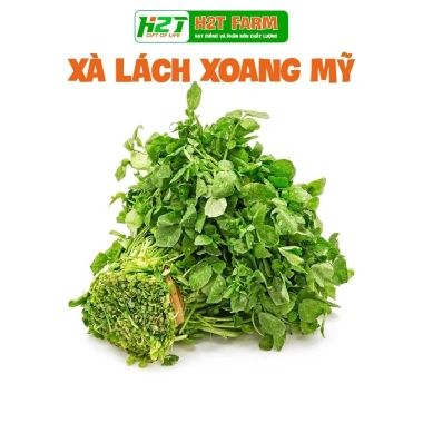 Hạt giống rau đa dạng: xà lách, cải kale, cải ngọt, cải xoăn, xà lách tím - Giá ưu đãi 9.114₫ 9 Hạt giống rau đa dạng: xà lách, cải kale, cải ngọt, cải xoăn, xà lách tím - Giá ưu đãi 9.114₫ 9