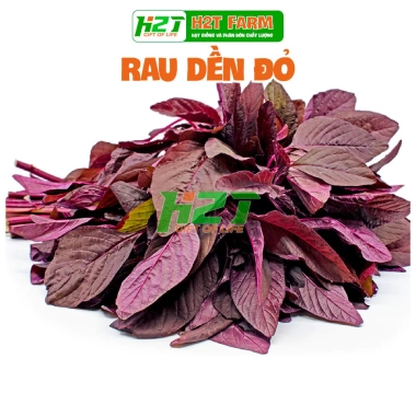 Hạt Giống Rau Dền Đỏ Cao Sản Dễ Trồng Gói - Chỉ 14.000 VND, Giá gốc 18.200 VND Hạt Giống Rau Dền Đỏ Cao Sản Dễ Trồng Gói - Chỉ 14.000 VND, Giá gốc 18.200 VND