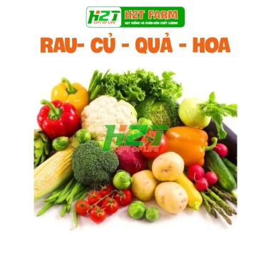 Hạt giống rau, hoa chậu, dây leo gói lớn - Rau ăn lá, chỉ 7.600₫ - thegioihatgiong