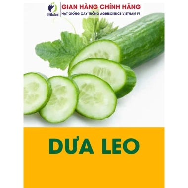 Hạt giống rau, hoa chậu, dây leo gói lớn - Rau ăn lá, chỉ 7.600₫ - thegioihatgiong
