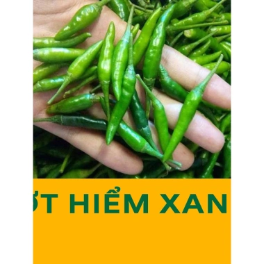 Hạt giống rau, hoa chậu, dây leo gói lớn - Rau ăn lá, chỉ 7.600₫ - thegioihatgiong