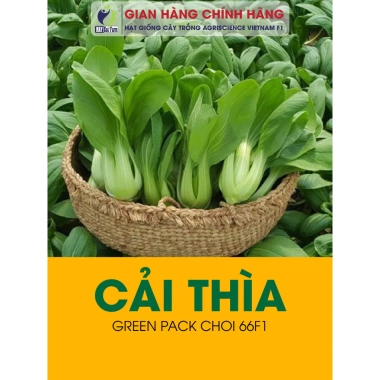 Hạt giống rau, hoa chậu, dây leo gói lớn - Rau ăn lá, chỉ 7.600₫ - thegioihatgiong