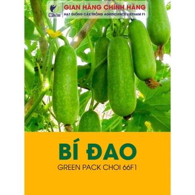 Hạt giống rau, hoa chậu, dây leo gói lớn - Rau ăn lá, chỉ 7.600₫ - thegioihatgiong