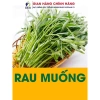 Hạt giống rau, hoa chậu, dây leo gói lớn - Rau ăn lá, chỉ 7.600₫ - thegioihatgiong 9