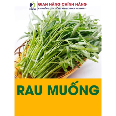 Hạt giống rau, hoa chậu, dây leo gói lớn - Rau ăn lá, chỉ 7.600₫ - thegioihatgiong