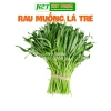 Hạt giống rau, hoa chậu, dây leo gói lớn - Rau ăn lá, chỉ 7.600₫ - thegioihatgiong 10
