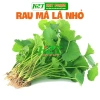 Hạt Giống Rau Má Lá Nhỏ Dễ Trồng - Giảm Giá Đến 20.000 VNĐ - Thế Giới Hạt Giống