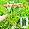 Hạt Giống Rau Muống 3 Chạc 10gr Trồng Quanh Năm Phát Triển Nhanh Giá 15.000 VNĐ