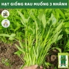 Hạt Giống Rau Muống 3 Chạc 10gr Trồng Quanh Năm Phát Triển Nhanh Giá 15.000 VNĐ 2