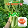 Hạt giống Rau Muống, Rau Dền, Đậu Bắp, Cải Ngọt, Tơi – Giá chỉ 6.998₫, giảm 19% tại thegioihatgiong