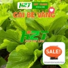 Hạt giống Rau Muống, Rau Dền, Đậu Bắp, Cải Ngọt, Tơi – Giá chỉ 6.998₫, giảm 19% tại thegioihatgiong 3