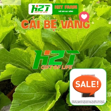 Hạt giống Rau Muống, Rau Dền, Đậu Bắp, Cải Ngọt, Tơi – Giá chỉ 6.998₫, giảm 19% tại thegioihatgiong 3