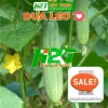 Hạt giống Rau Muống, Rau Dền, Đậu Bắp, Cải Ngọt, Tơi – Giá chỉ 6.998₫, giảm 19% tại thegioihatgiong 4
