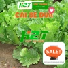 Hạt giống Rau Muống, Rau Dền, Đậu Bắp, Cải Ngọt, Tơi – Giá chỉ 6.998₫, giảm 19% tại thegioihatgiong 5