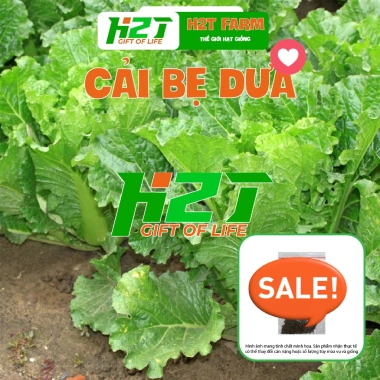 Hạt giống Rau Muống, Rau Dền, Đậu Bắp, Cải Ngọt, Tơi – Giá chỉ 6.998₫, giảm 19% tại thegioihatgiong 5