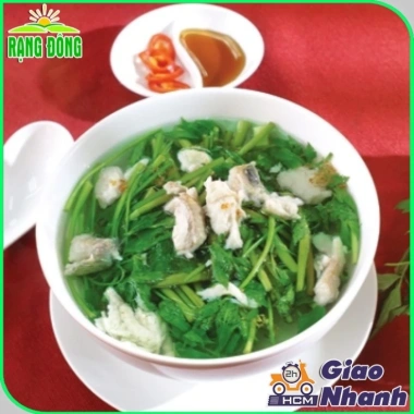 Hạt giống Rau Tần Ô (Rau Cúc Tẻ) ít sâu bệnh - Giá chỉ 15.600₫, giảm từ 20.280