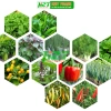 Hạt giống rau thơm, gia vị đa dạng: ngò rí, hành lá, húng quế, ớt, thì là, tía tô, ngò gai - Dễ trồng, giá chỉ 6.174₫