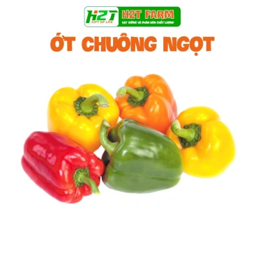 Hạt giống rau thơm, gia vị đa dạng: ngò rí, hành lá, húng quế, ớt, thì là, tía tô, ngò gai - Dễ trồng, giá chỉ 6.174₫