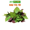 Hạt giống rau thơm, gia vị đa dạng: ngò rí, hành lá, húng quế, ớt, thì là, tía tô, ngò gai - Dễ trồng, giá chỉ 6.174₫ 9