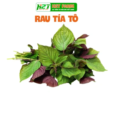 Hạt giống rau thơm, gia vị đa dạng: ngò rí, hành lá, húng quế, ớt, thì là, tía tô, ngò gai - Dễ trồng, giá chỉ 6.174₫ 9 Hạt giống rau thơm, gia vị đa dạng: ngò rí, hành lá, húng quế, ớt, thì là, tía tô, ngò gai - Dễ trồng, giá chỉ 6.174₫ 9