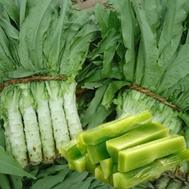 Hạt giống rau tiến vua - Dễ trồng, cao, ngon, thu hoạch nhanh, chỉ 13.860₫