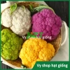 Hạt giống súp lơ đa màu bông cải mix - Trồng nhanh, thu hoạch dày, Giá ưu đãi 13.860₫