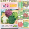 Hạt giống súp lơ đa màu bông cải mix - Trồng nhanh, thu hoạch dày, Giá ưu đãi 13.860₫ 2