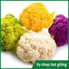 Hạt giống súp lơ đa màu bông cải mix - Trồng nhanh, thu hoạch dày, Giá ưu đãi 13.860₫ 3