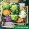 Hạt giống súp lơ đa màu bông cải mix - Trồng nhanh, thu hoạch dày, Giá ưu đãi 13.860₫ 4