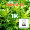 Hạt Giống Tần Ô Rau Cúc Tẻ nhập khẩu Giá chỉ 12.000đ chất lượng cao trồng dễ dàng