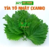 Hạt giống tía tô xanh Nhật Bản - Giá ưu đãi 22.000₫, trồng nhanh, lá xanh tươi