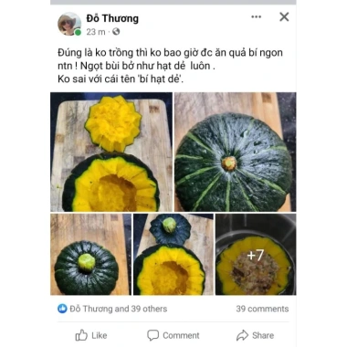 Hạt Giống TQ Hạt Dẻ Bí Ngọt Bùi Như - Trồng Ngay, 90 Ngày Có Quả, Giá 3.154 VND