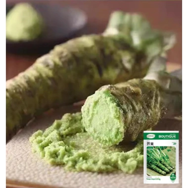 Hạt Giống Wasabi Nhập Khẩu Giá 25.000 VND Tăng Độ Cay Dễ Trồng Tại Nhà