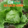 Hạt giống xà lách giòn ngọt nhập khẩu - Giá chỉ 13.860 VND, siêu tiết kiệm, năng suất cao
