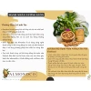 Hạt Hạnh Nhân Úc TINISEED Rang Giòn Cao Cấp - Giàu Vitamin Khoáng Chất, Giá 150.000 VND 8