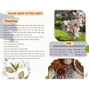 Hạt Hạnh Nhân Úc TINISEED Rang Giòn Cao Cấp - Giàu Vitamin Khoáng Chất, Giá 150.000 VND 9