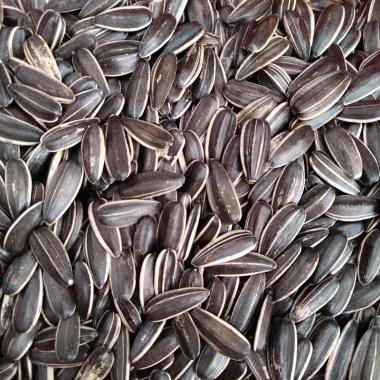 Hạt Hướng Dương 350g Đặc Biệt - Giá chỉ 50.000đ, Freeship, Đơn Từ 50k