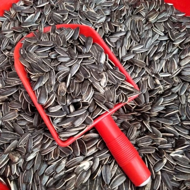 Hạt Hướng Dương 350g Đặc Biệt - Giá chỉ 50.000đ, Freeship, Đơn Từ 50k