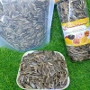 Hạt Hướng Dương 350g Đặc Biệt - Giá chỉ 50.000đ, Freeship, Đơn Từ 50k 6